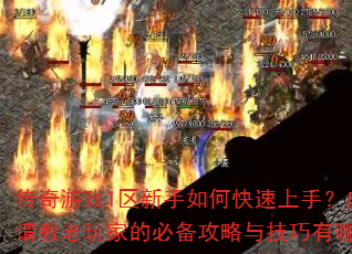 ������Ϸ1��������ο������֣������������ҵıر������뼼������Щ��