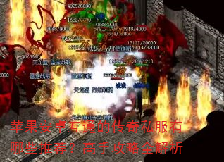 ƻ����׿��ͨ�Ĵ���˽������Щ�Ƽ������ֹ���ȫ����