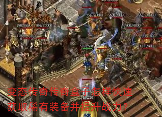��̬���洫������������ٻ�ȡϡ��װ��������ս����