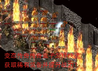 ��̬���洫������������ٻ�ȡϡ��װ��������ս����