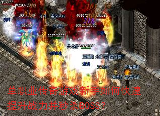 ��ְҵ������Ϸ������ο�������ս������ɱBOSS��