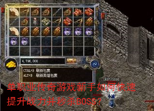 ��ְҵ������Ϸ������ο�������ս������ɱBOSS��