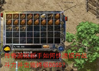 ������Ϸ������ο�������ս�����������ռ�BOSS��