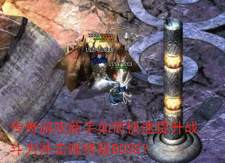 ������Ϸ������ο�������ս�����������ռ�BOSS��