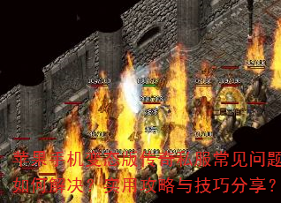 ƻ���ֻ���̬�洫��˽������������ν����ʵ�ù����뼼�ɷ�����
