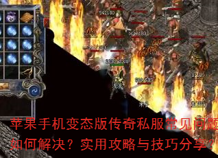 ƻ���ֻ���̬�洫��˽������������ν����ʵ�ù����뼼�ɷ�����