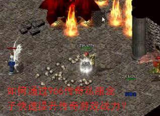 ���ͨ��966����˽�����ӿ�������������Ϸս����