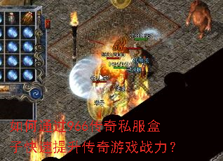 ���ͨ��966����˽�����ӿ�������������Ϸս����