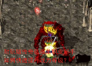 ����洫��˽����ְҵ������ο�������ս���ȼ���