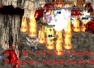 ������������ο��ٻ����ռ�BOSS����ȡϡ��װ����2025����ʵս���ɽ���