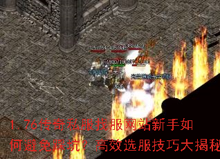 1.76����˽���ҷ���վ������α���ȿӣ���Чѡ�����ɴ����