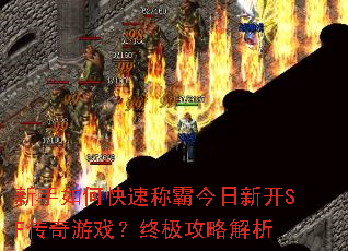 ������ο��ٳưԽ����¿�SF������Ϸ���ռ����Խ���