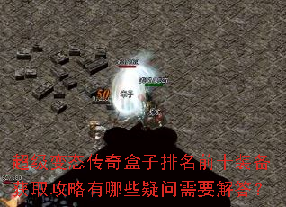 ������̬�����������ǰʮװ����ȡ��������Щ������Ҫ���