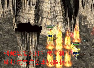 Ы������ô�򣿴��渨������ע���������