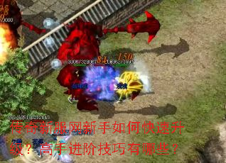 �����·���������ο������������ֽ��׼�������Щ��