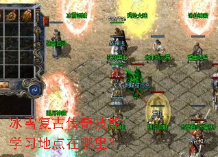 ��ѩ���Ŵ��漼��ѧϰ�ص������