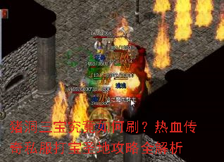 ���������������ˢ����Ѫ����˽����ʥ�ع���ȫ����