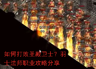 ��δ��ʥ����ʿ����ʿ��ʦְҵ���Է���