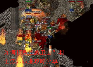 ��δ��ʥ����ʿ����ʿ��ʦְҵ���Է���