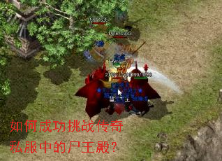 ��γɹ���ս����˽���е�ʬ���