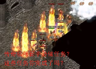 ����˽�����ֱ���������Щ�������������