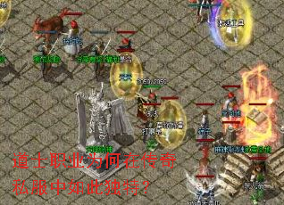 ��ʿְҵΪ���ڴ���˽������˶��أ�