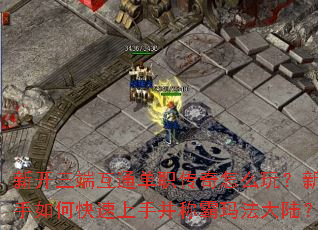 �¿����˻�ͨ��ְ������ô�棿������ο������ֲ��ư��귨��½��