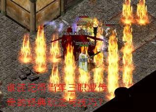 ˭���ǵõ�����ְҵ����ľ����淨�뼼�ɣ�
