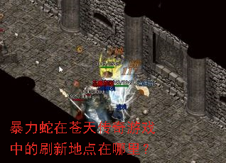 �������ڲ��촫����Ϸ�е�ˢ�µص������