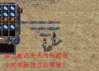 �������ڲ��촫����Ϸ�е�ˢ�µص������