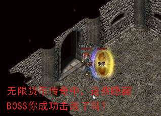 ���޻��Ҵ����У���Щ����BOSS��ɹ���������