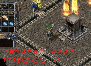 ���޻��Ҵ����У���Щ����BOSS��ɹ���������