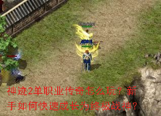 ��2��ְҵ������ô�棿������ο��ٳɳ�Ϊ�ռ�ս��