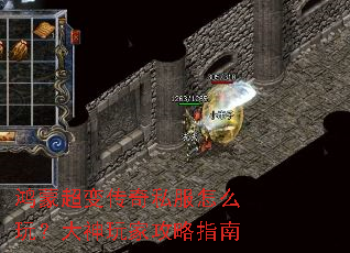 ���ɳ��䴫��˽����ô�棿������ҹ���ָ��
