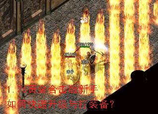 1.76�ƽ�ϻ���������ο����������װ����