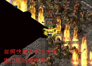 ��ο�������ԡ����������˽�����棿