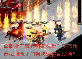 ��ְҵ�����ն��ô�棿��̬����˽��������ο��ٳư�ɳ����