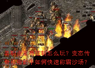 ��ְҵ�����ն��ô�棿��̬����˽��������ο��ٳư�ɳ����