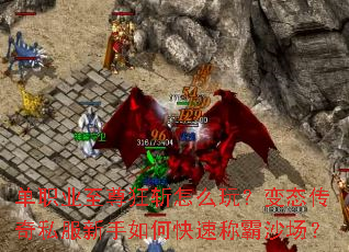 ��ְҵ�����ն��ô�棿��̬����˽��������ο��ٳư�ɳ����