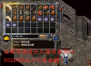 ��ο���������β���301600249��ս�������۷壿