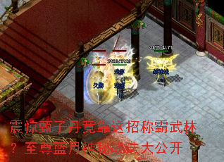 �����ӵ��������гư����֣�������������ս���󹫿�