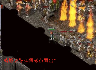 ��Ӱ��������Ƽ������