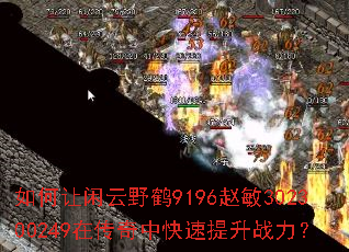 ���������Ұ��9196����302300249�ڴ����п�������ս����