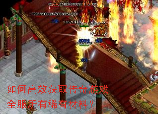 ��θ�Ч��ȡ������Ϸȫ������ϡ�в��ϣ�
