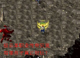 ��Ʒ��ְҵ���澿������Щ���������棿