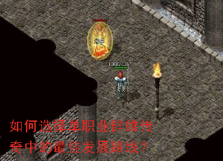 ���ѡ��ְҵȺ�۴����е���ѷ�չ·�ߣ�