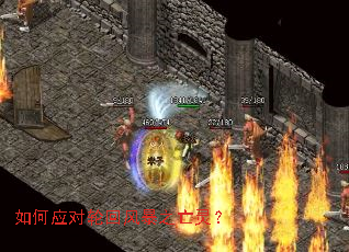 ���Ӧ���ֻط籩֮���飿