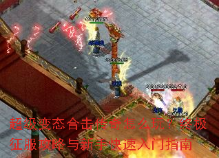 ������̬�ϻ�������ô�棿�ռ��������������ֿ�������ָ��