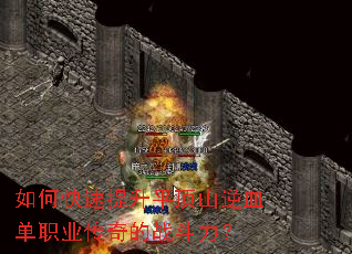 ��ο�������ƽ��ɽ��Ѫ��ְҵ�����ս������