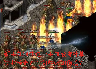 ������ο�������ѪҺħ��ְҵ���棿����Щ��֪�ؼ���